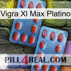 Vigra Xl Max Platinum 05